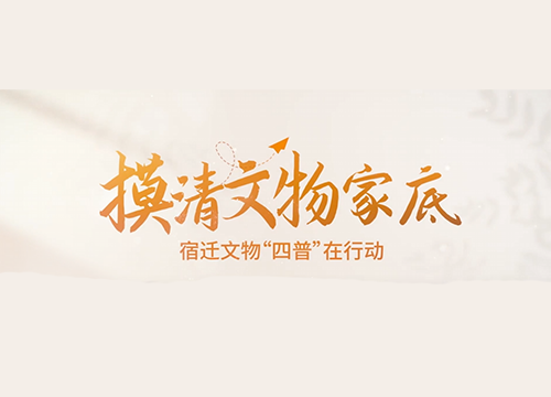 摸清文物家底 宿迁文物“四普”在行动