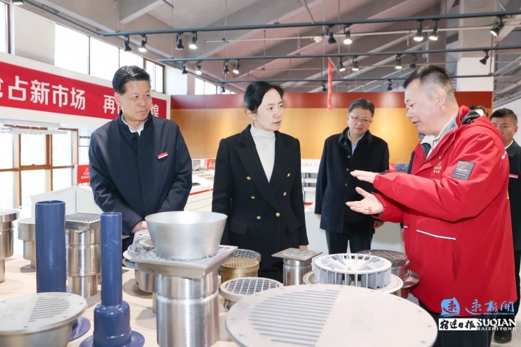 盛蕾到湖滨新区调研
