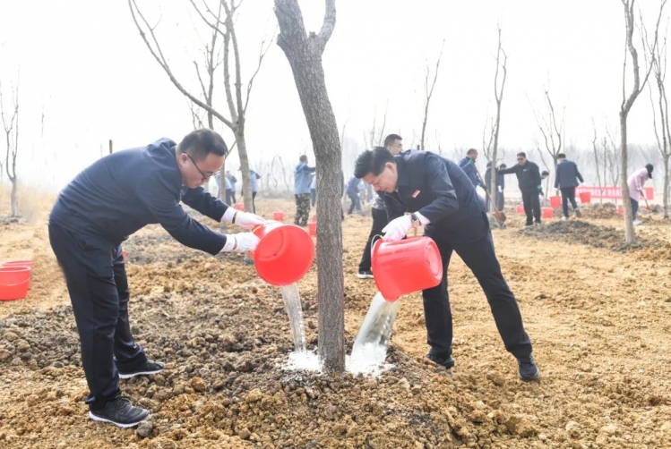 拥抱春天 为绿充“植”——湖滨新区开展义务植树活动