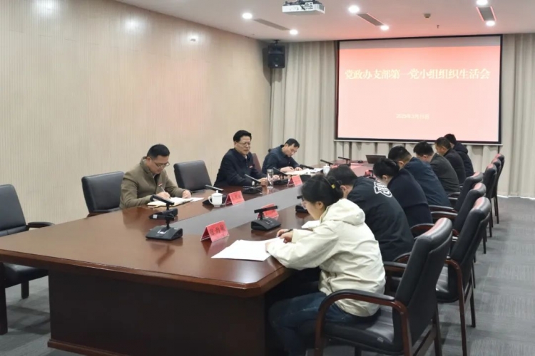 张先彦参加所在党支部2024年度组织生活会