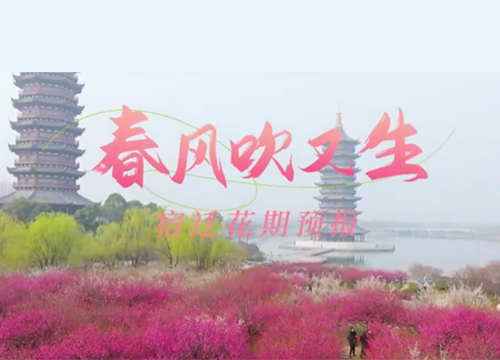 春风吹又生——宿迁花期预报