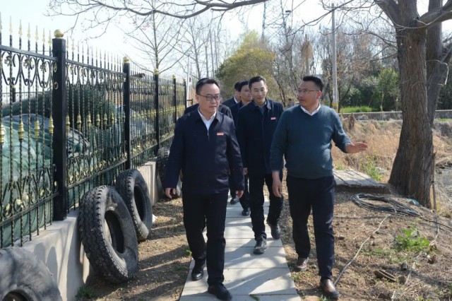 陈磊调研戴场岛圈圩养殖整治工作
