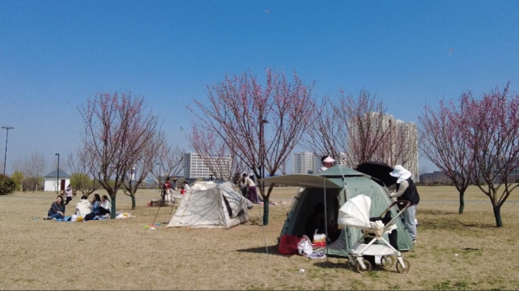 骆马湖国家级旅游度假区：周末春光无限 市民尽享惬意休闲时光