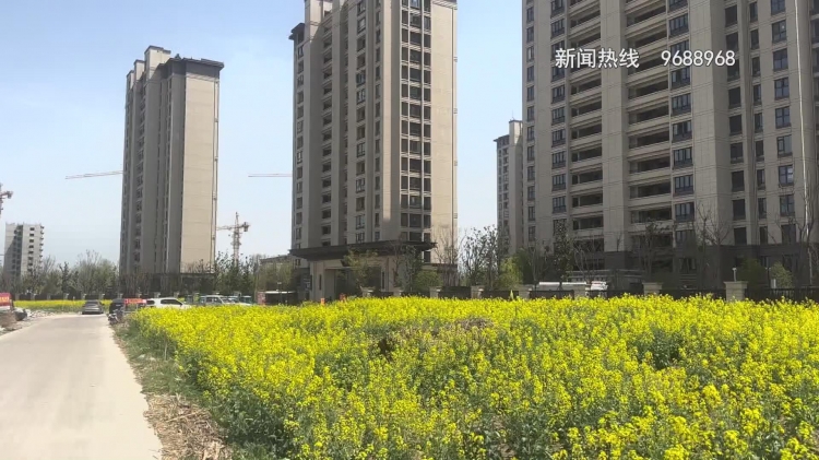 回家还得看“限行”，说好的道路施工呢？
