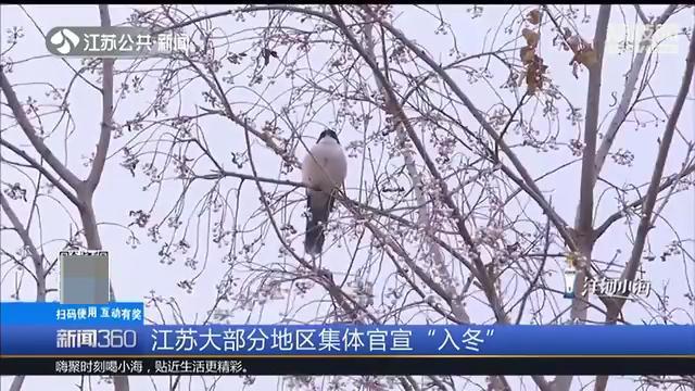 江苏大部分地区集体官宣入冬 冷空气活动频繁，湿冷模式持续