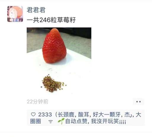 图片7.png