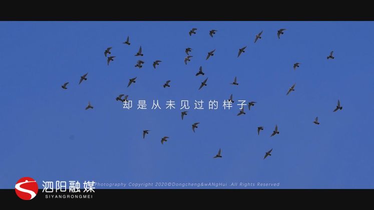 【短视频】疫情下的泗阳，待春暖花开