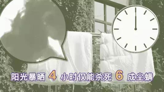 旧筷子、旧毛巾、旧枕芯、旧沙发罩...到底有多可怕