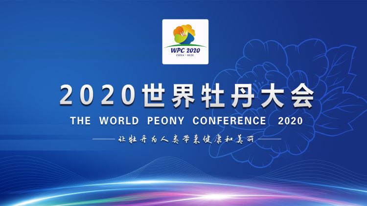 【百台联动直播】2020世界牡丹大会-让世界爱上菏泽牡丹