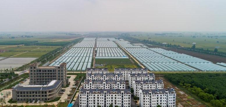 微信截图_20200519170500.jpg