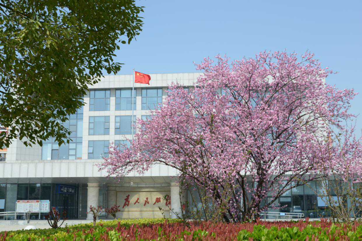 图片22.png