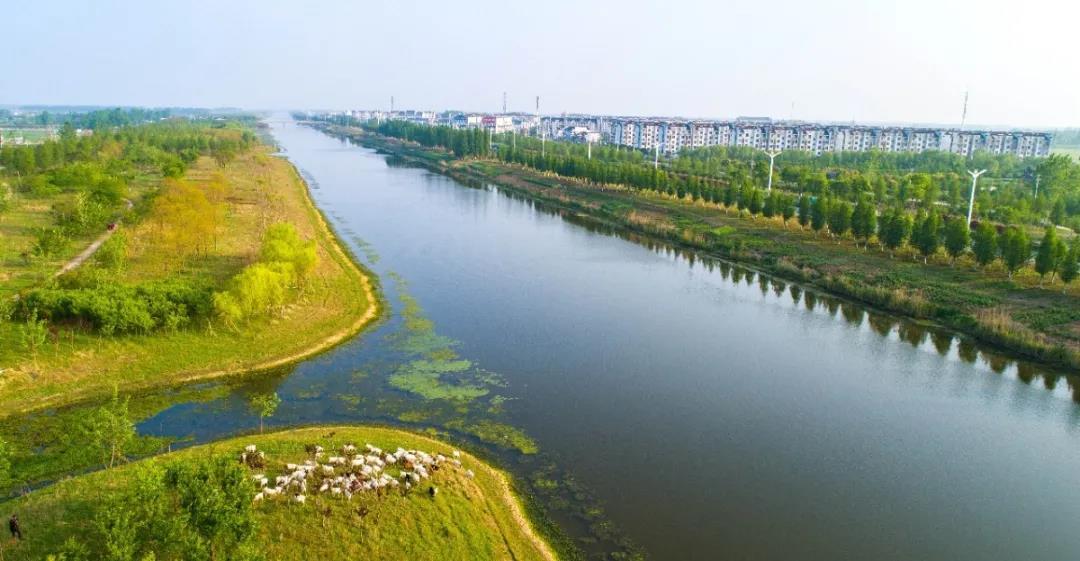 泗洪:展千年汴河风采 显生态城市魅力