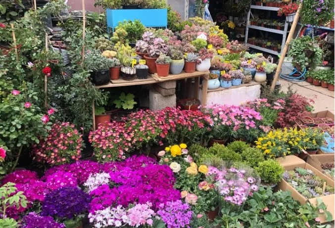微信截图_20200929181849.png 微信截图_20200929181849.png