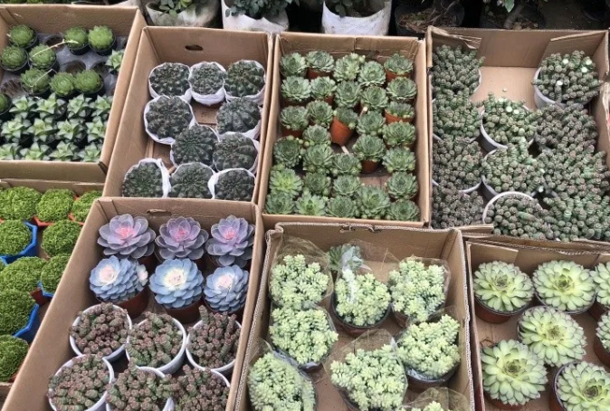 微信截图_20200929181901.png 微信截图_20200929181901.png