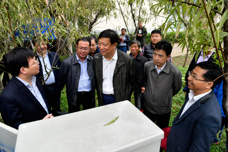 袁局长上戴场岛实地调研指导.png