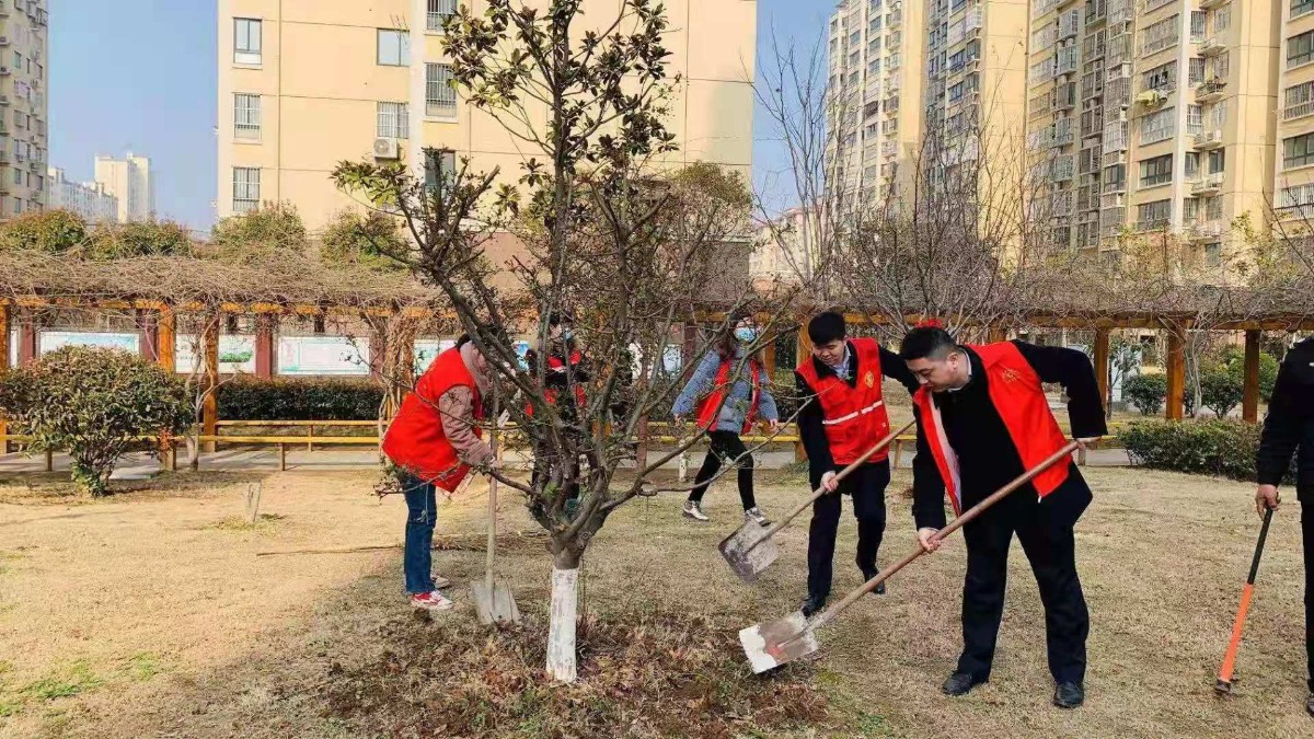 建行沭阳支行开展“春暖花开植树日，结对共建团委情”主题植树活动