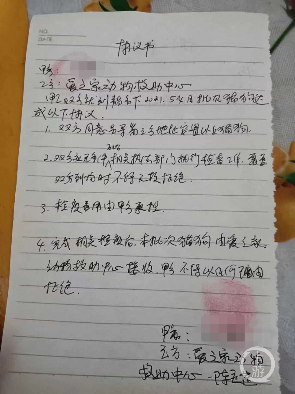 5月4日，涉事宠物店店主与爱之家动物救助中心达成协议，检疫后的猫狗由爱之家接收。受访者供图
