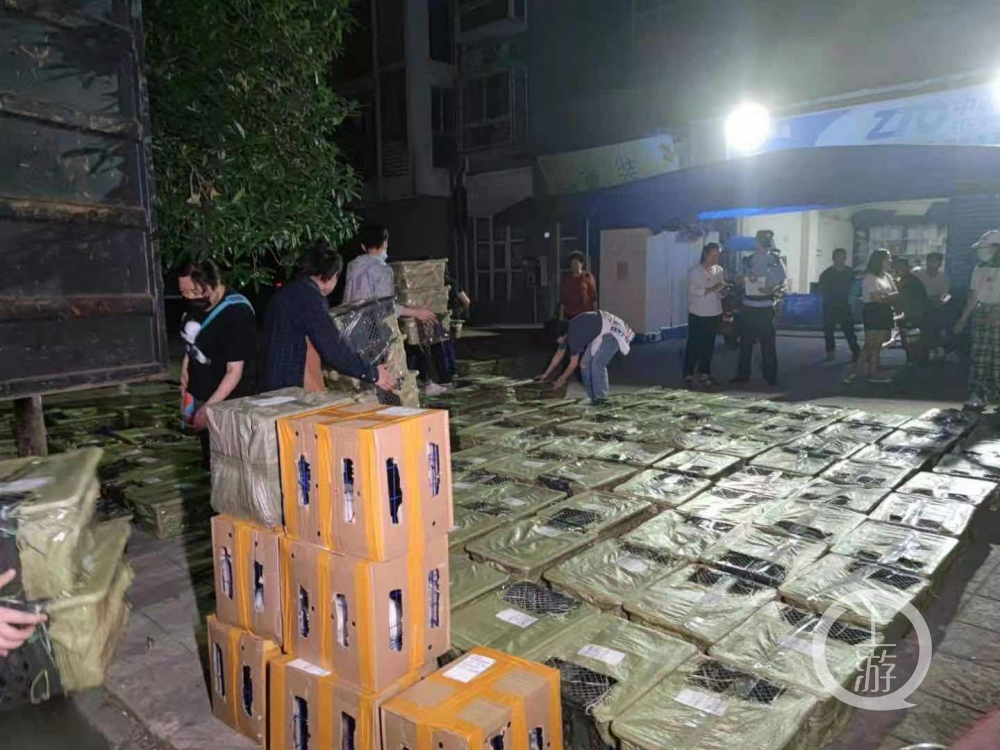 5月4日，四川成都，义工将猫狗从车厢搬到地面通风透气。受访者供图