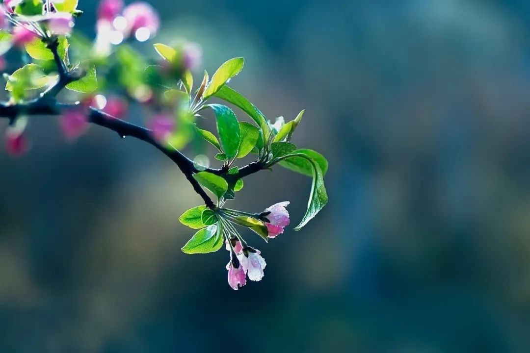 【早读】优雅，是一种岁月