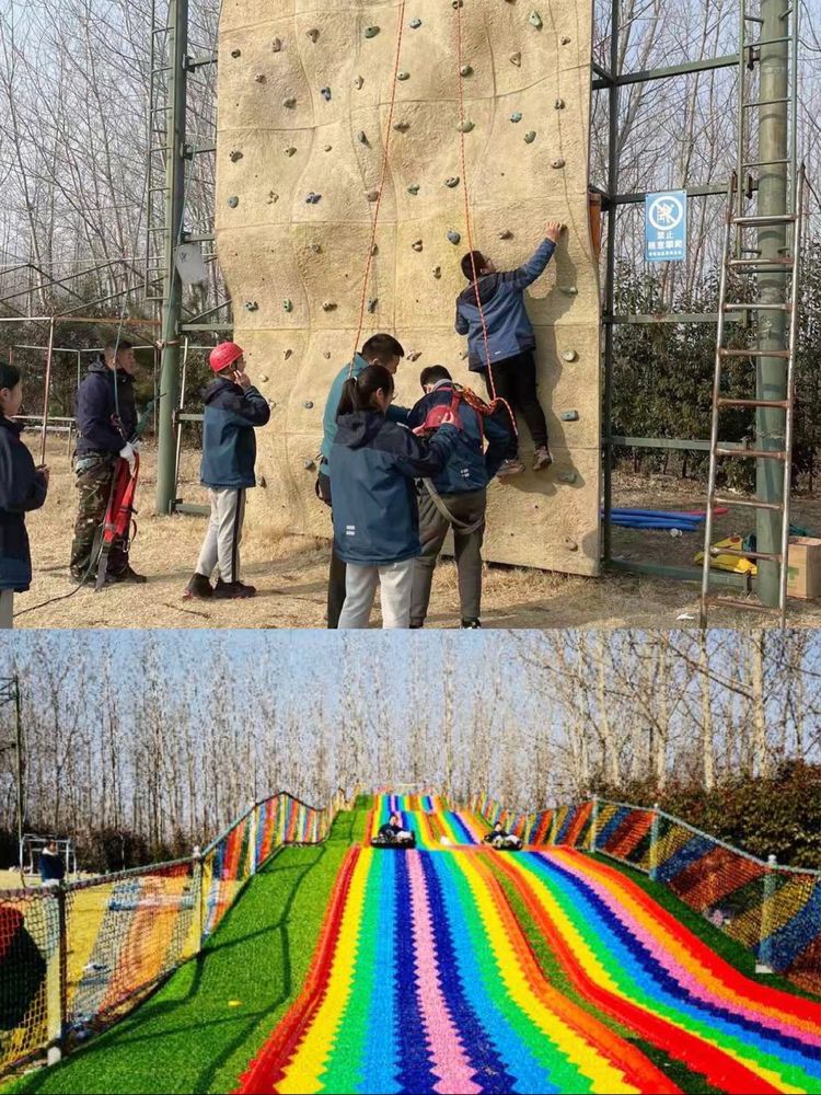 三棵树2.jpg