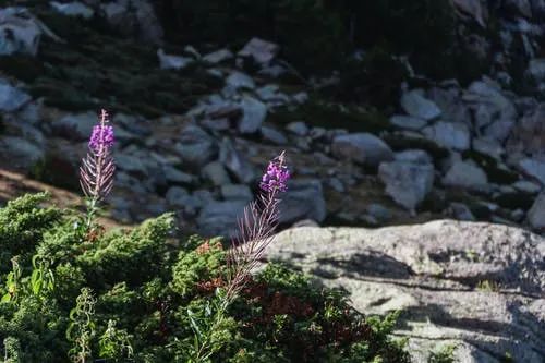 【早读】岁月永不老，我们正年轻！