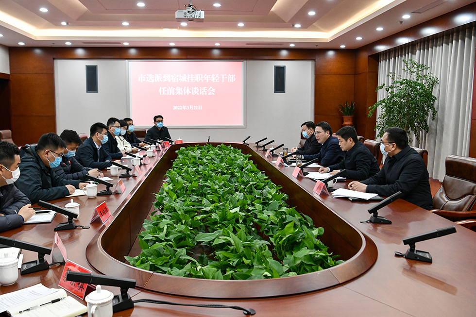 宿城召开市选派到宿城挂职年轻干部任前集体谈话会.jpg