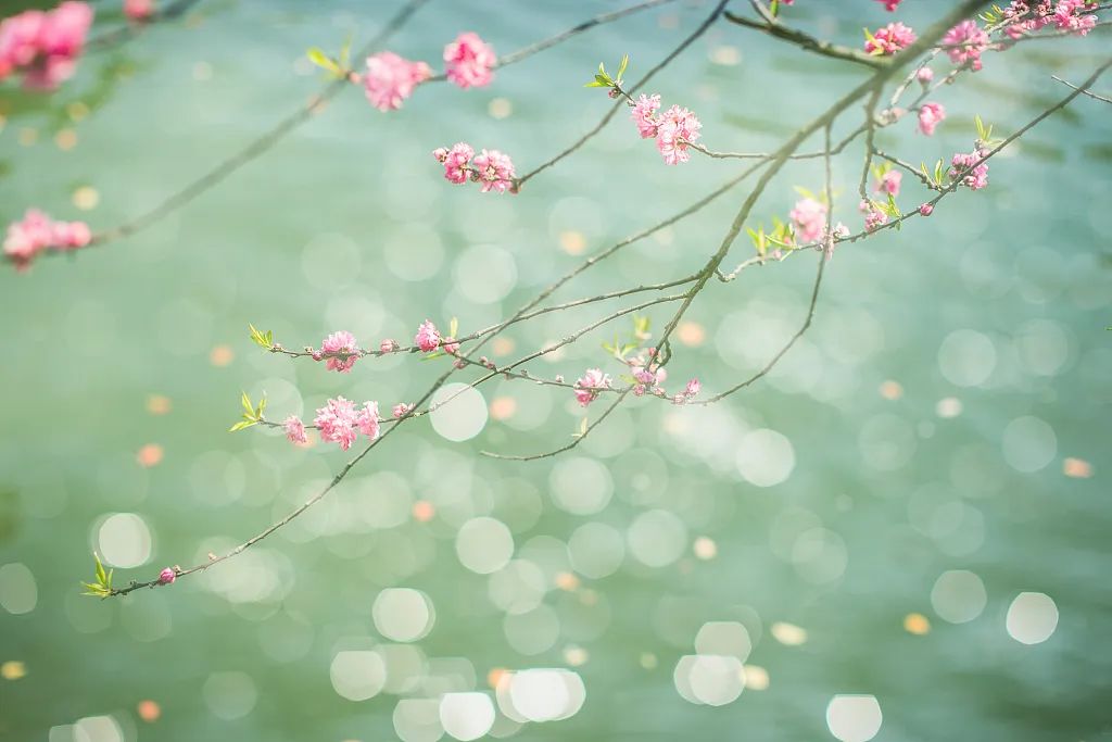 【夜读】​有时候，停一停是为了更好地出发
