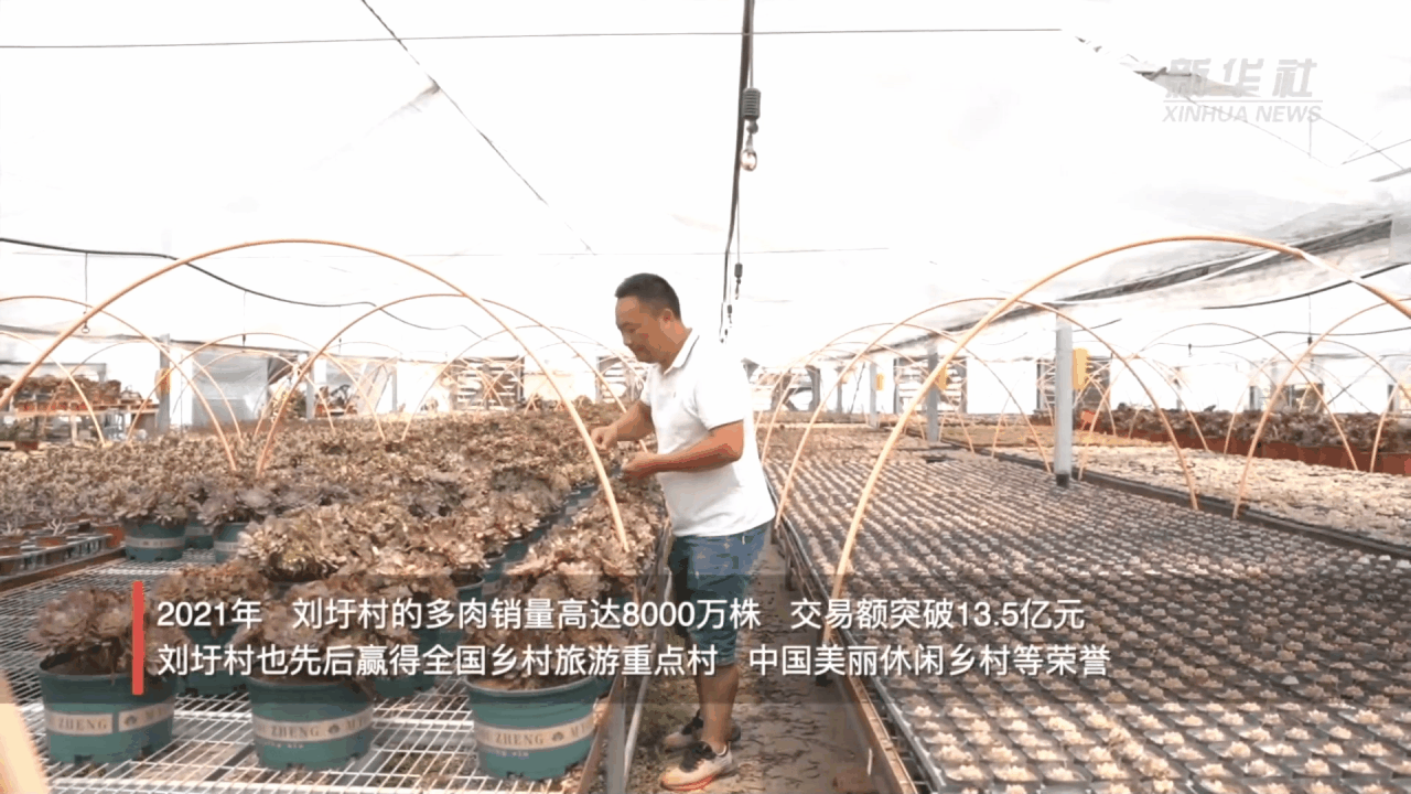 未命名-副本(2).gif