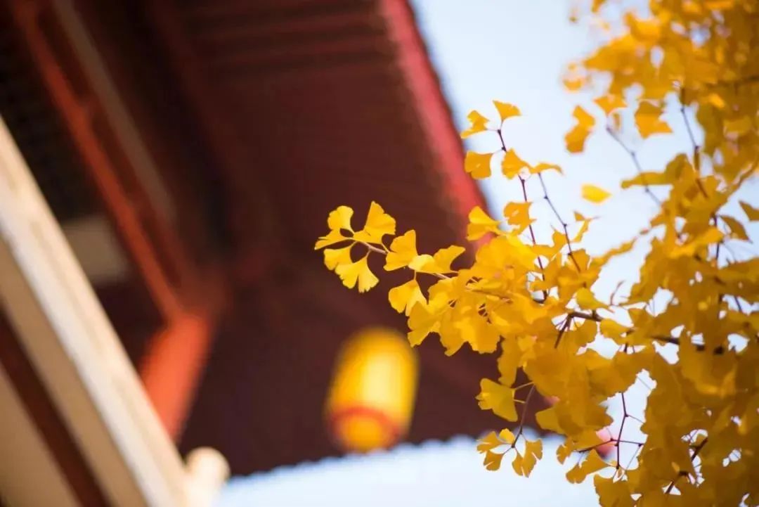 【早读】阳光和幸福，一直在路上！