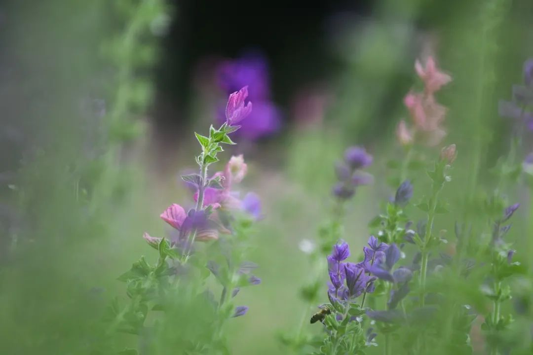 【夜读】在琐碎的日子里，过诗意的生活