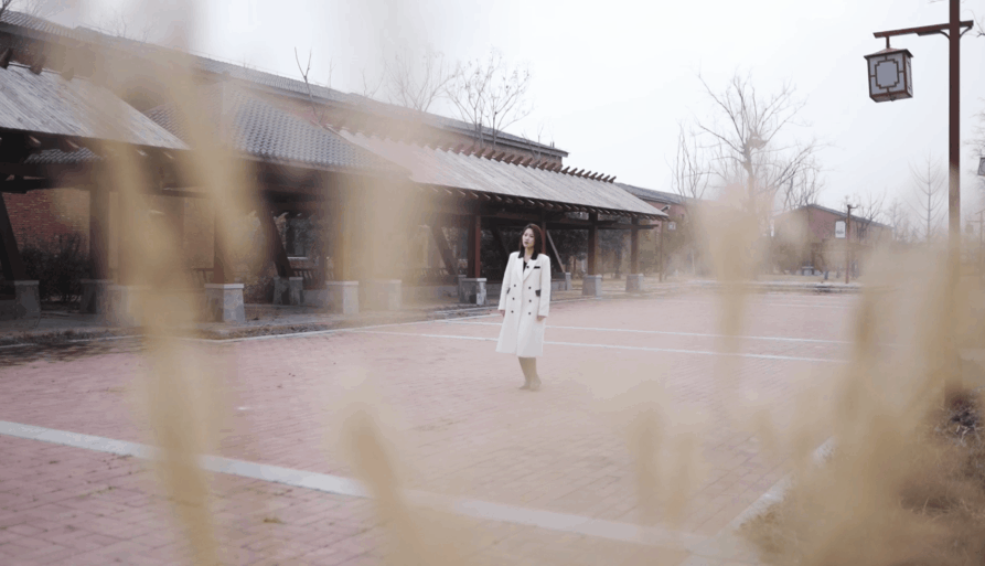 河西动4.gif