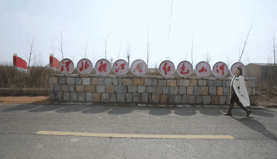 河西动1.gif