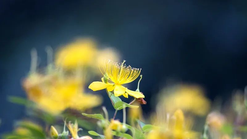 【早读】生气见人品，细节见修养，低谷见格局
