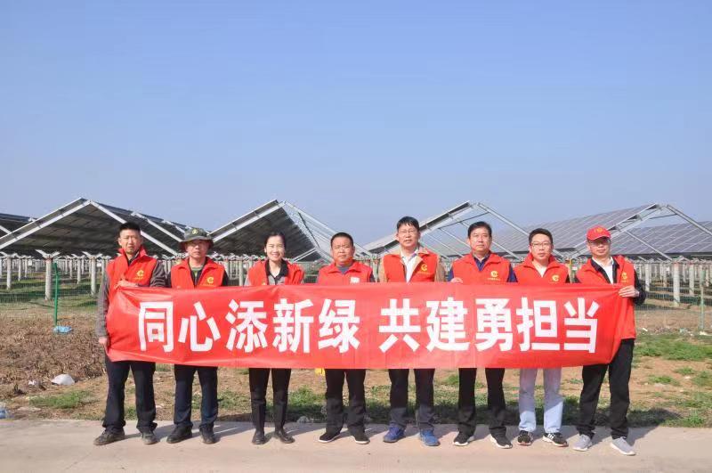 江苏泗洪烟草：同心添新绿  共建勇担当