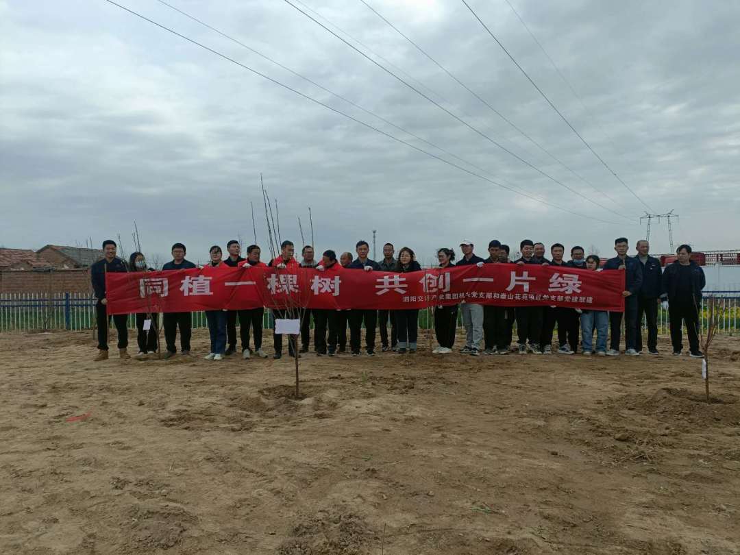 泗阳县交通集团举行“同植一棵树，共创一片绿”党建联谊共建植树活动