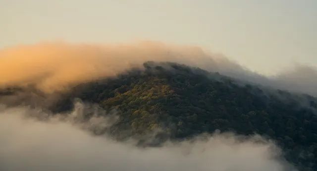【早读】每种选择，都有功课