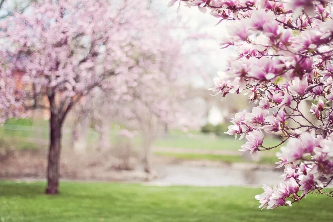 【早读】心若丰盈，人生处处皆风景