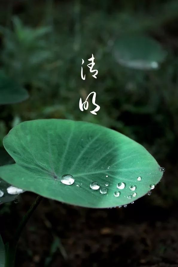 【早读】不忘却，就是最好的纪念