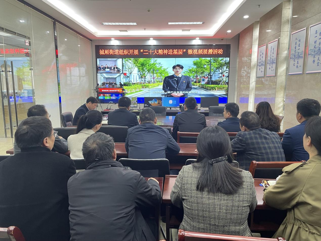 强国复兴有我丨城厢街道：学习党的二十大精神，全力奋进乡村振兴