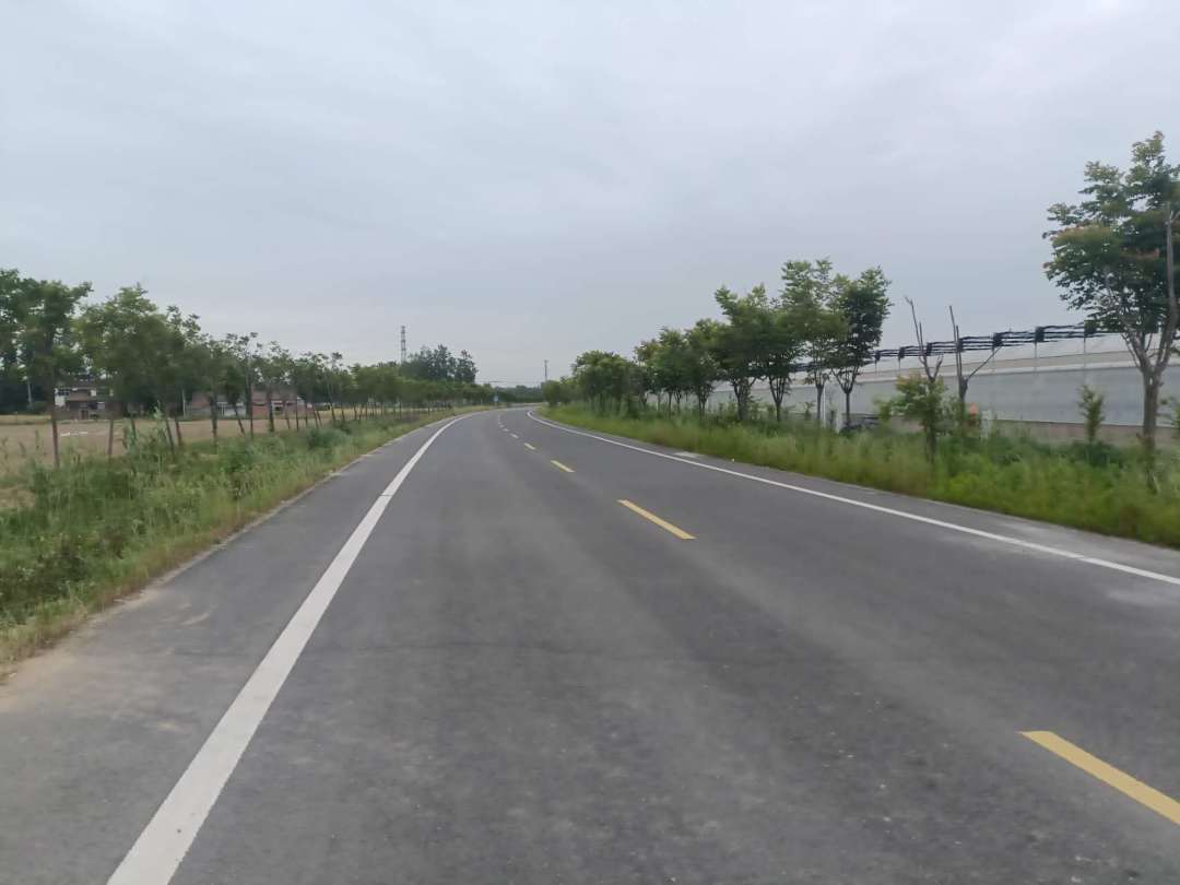 泗阳县爱园镇朝阳社区：党建引领，开启省道“267”富民密码