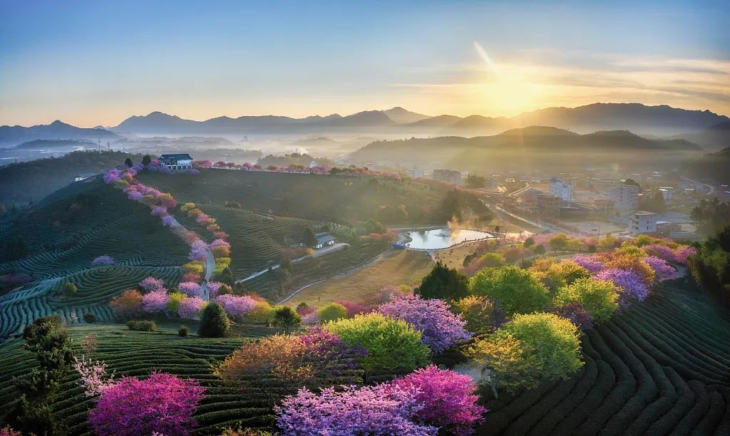 【早读】在路上，终将遇见美好的自己