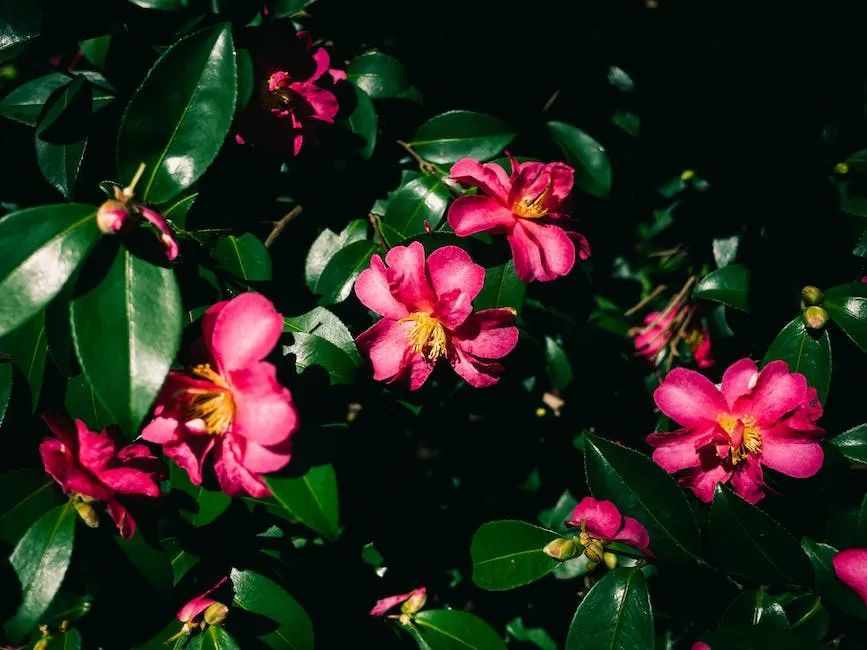 【早读】生活没有桃花源，自在便是水云间！