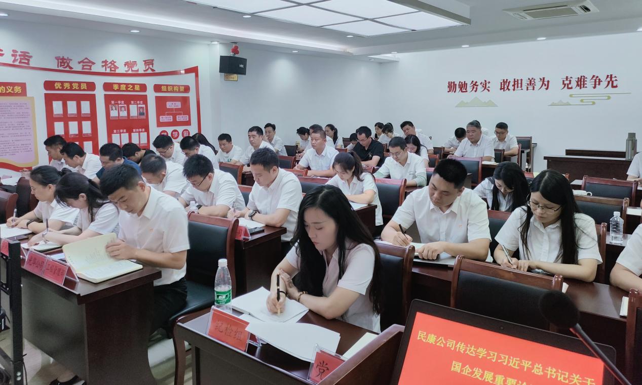 泗阳民康公司召开2023年7月份工作述职评议会议