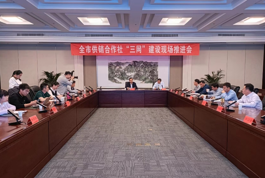 全市供销合作社“三网”建设现场推进会在泗阳召开