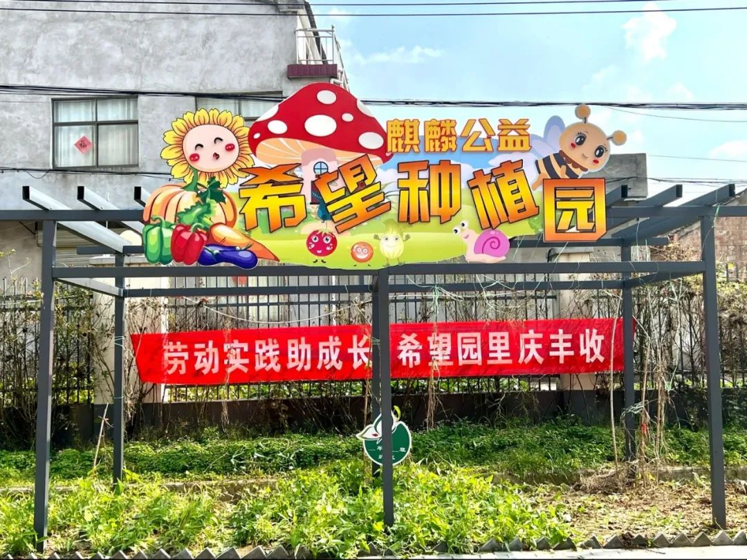 劳动实践助成长 希望园里庆丰收——洋河新区王园小学校园丰收节主题系列活动