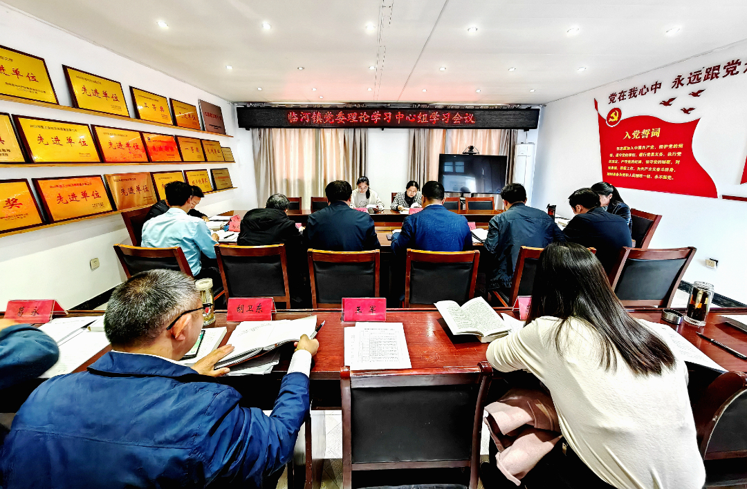 临河镇党委理论学习中心组学习会暨2023年县委理论学习中心组巡学旁听活动