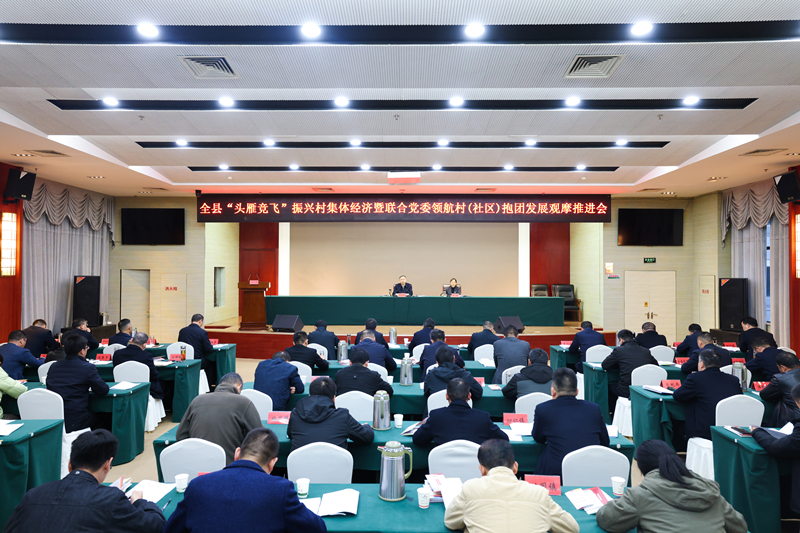 1我县召开“头雁竞飞”振兴村集体经济暨联合党委领航村(社区)抱团发展观摩推进会.jpg