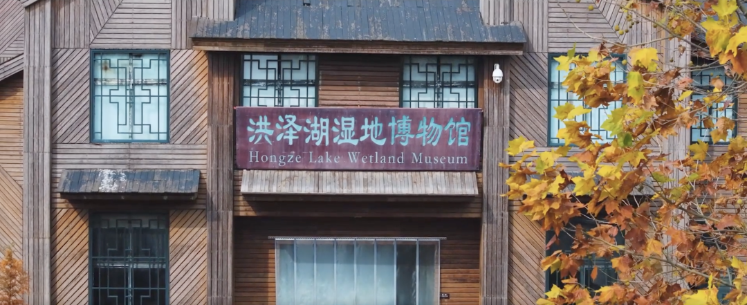 截屏2023-11-30 上午10.59.23.png