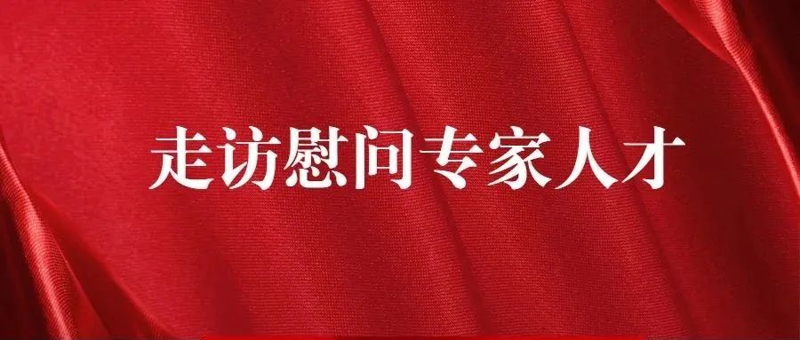 可惜我文笔平平，写不尽人才工作这一年