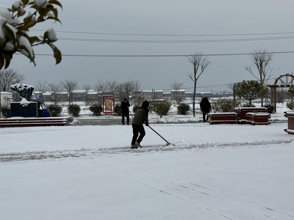 冬训进行时|泗阳县卢集镇：扫雪助出行 冬训显实效
